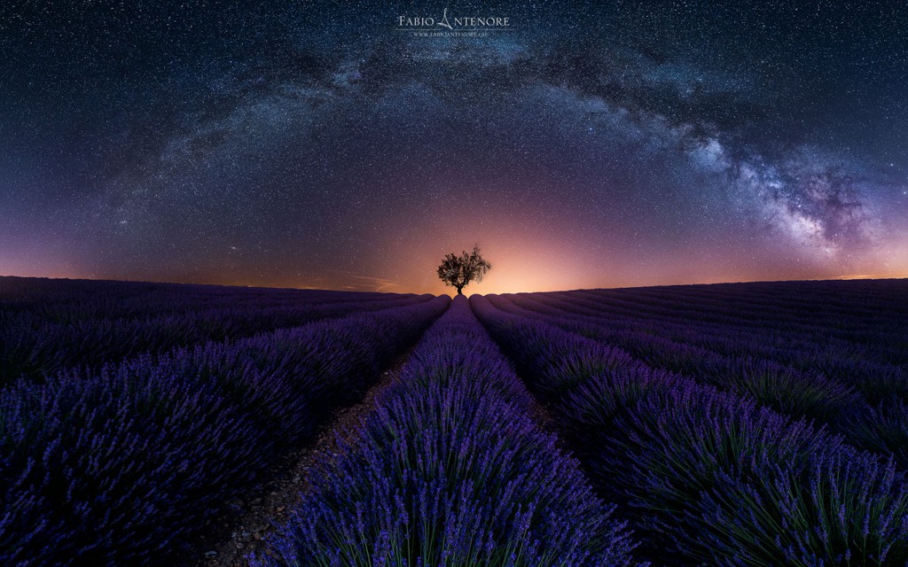 Purple Arch © Fabio Antenore