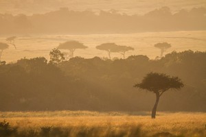 Sonnenaufgang © Robert Sommer