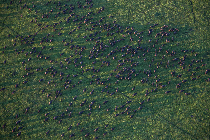 Blick aus dem Helikopter | Rundflug © Robert Sommer