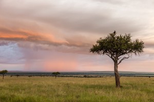 SIGMA Fotoreise 2015 - Kenia