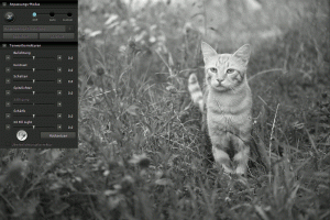 SIGMA Photo Pro | Automatischer Anpassungsmodus