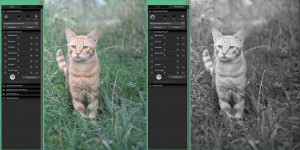 SIGMA Photo Pro | Farbe-Monochrom