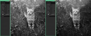 SIGMA Photo Pro | Die Fill-Light-Hintergrundunschärfe