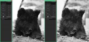 SIGMA Photo Pro | Der Fill-Light-Regler im Fokus
