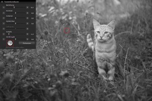 SIGMA Photo Pro | Einstellung des Pipette-Werkzeugs