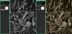 SIGMA Photo Pro | Tonwert-Anpassung in SPP