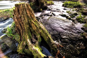 Grenzfluss Thaya - Langzeitbelichtung