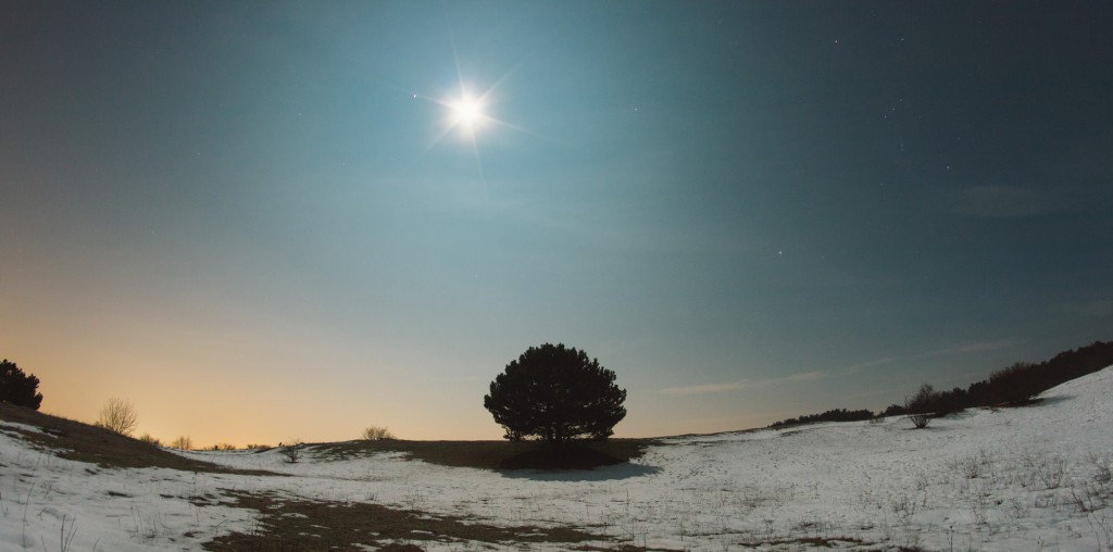 Winterliche Nachtlandschaft | Fotografieren bei Nacht