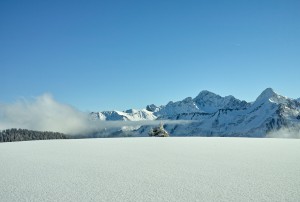 Safaribloggerwettbewerb Beitrag Frank Diederich