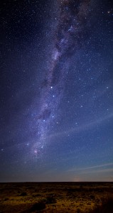 Kalahari ©Kevin Winterhoff