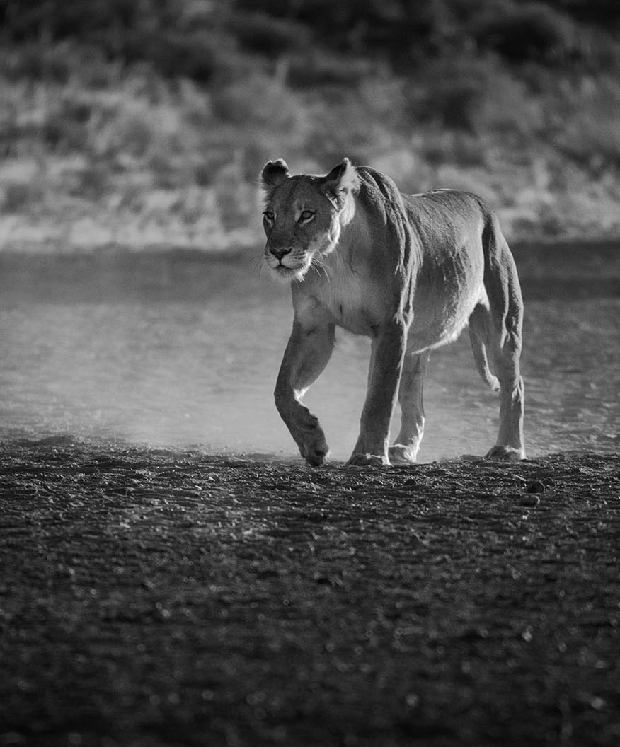 Kalahari ©Kevin Winterhoff