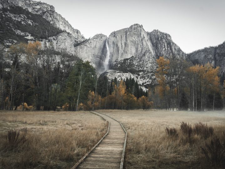 Yosemite Nationalpark © Max Muench