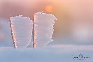 Eiszeit-Fotografie © Ines Mondon
