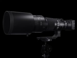 SIGMA 500mm F4 DG OS HSM | Sports