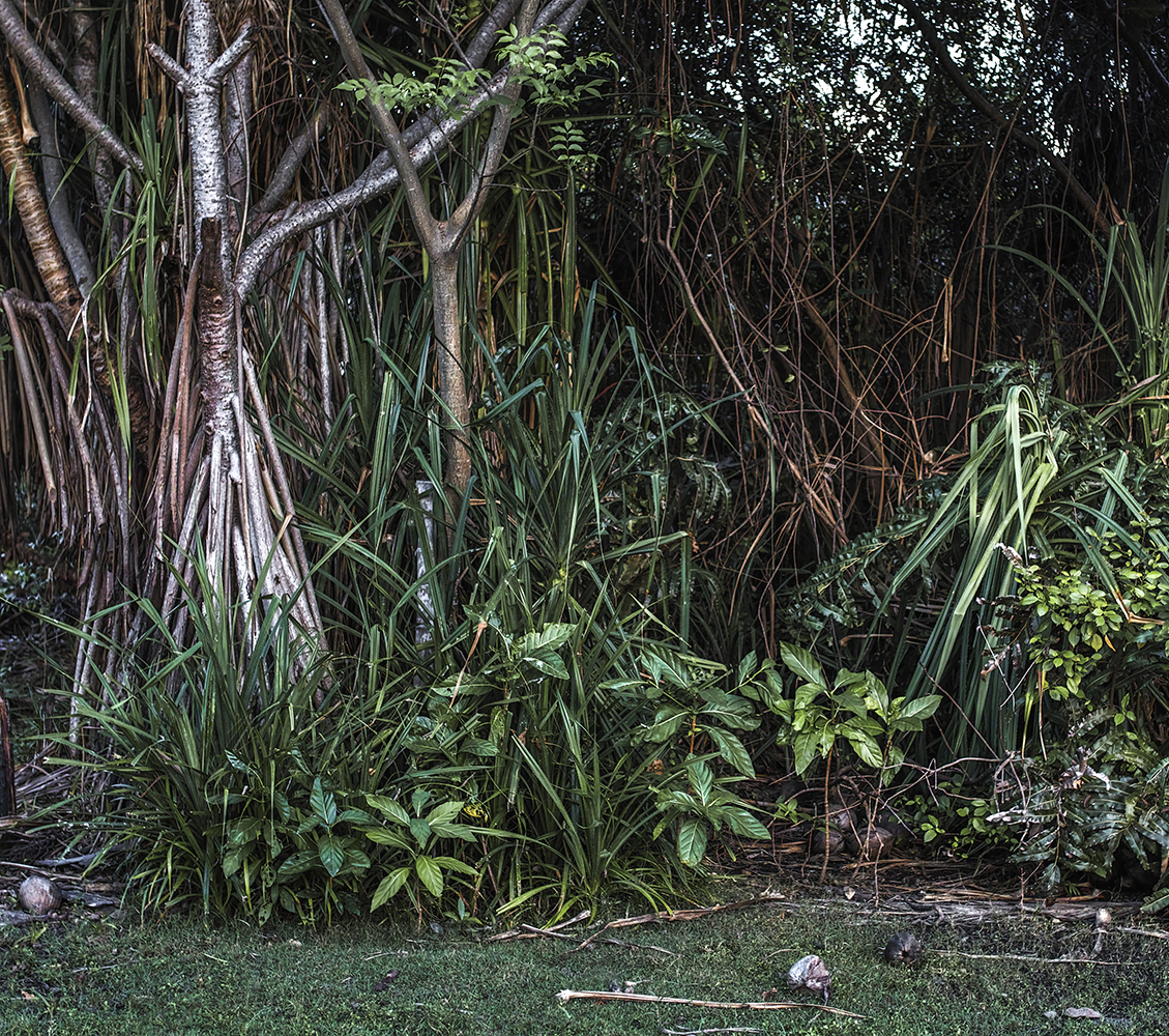 Besucher auf Zeit - Indonesien © Fabian Stransky