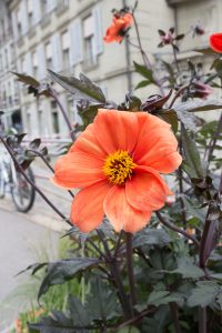 Blendenvergleich © Antonia Moers