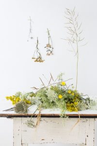 Sommerblumen fotografieren © Sylwia Gervais