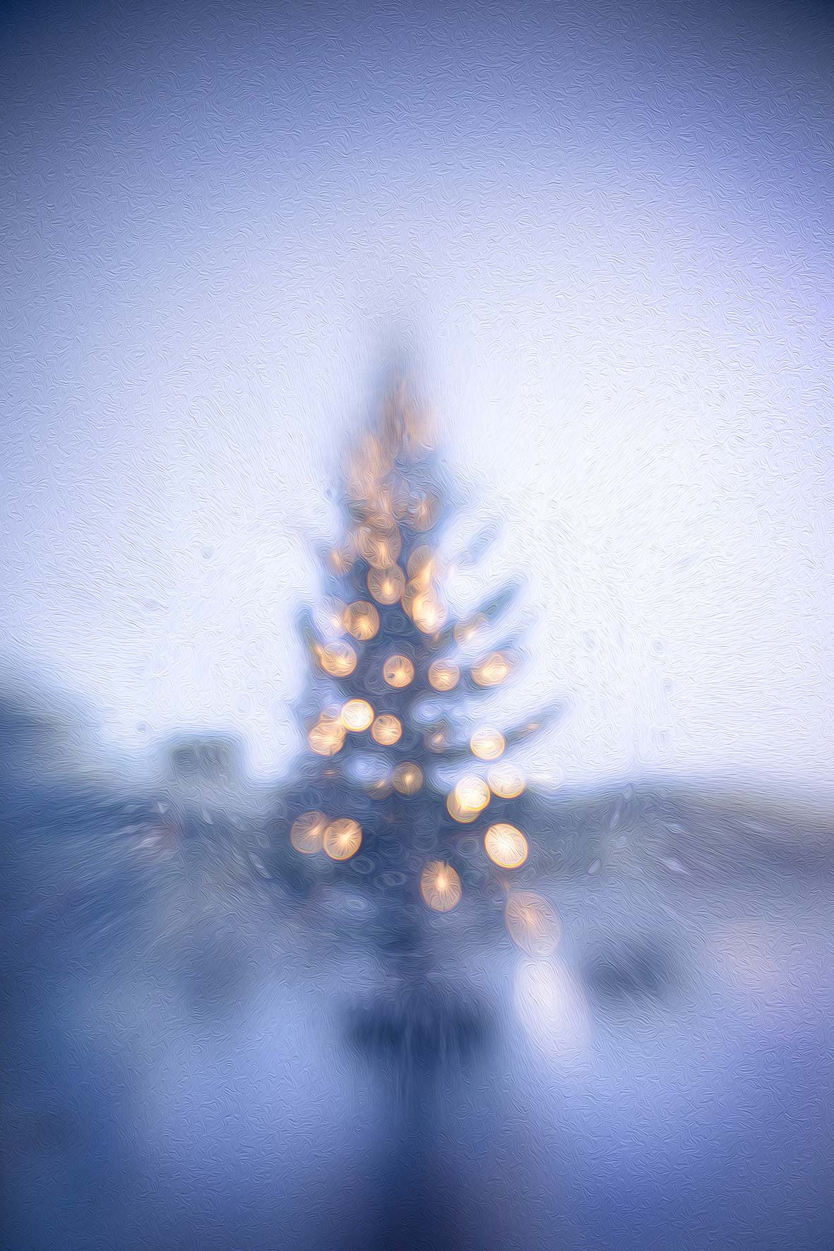 Weihnachtsmotiv © Martin Matt
