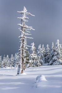 Harz © Robert Sommer