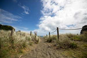 Neuseeland © Antonia Moers