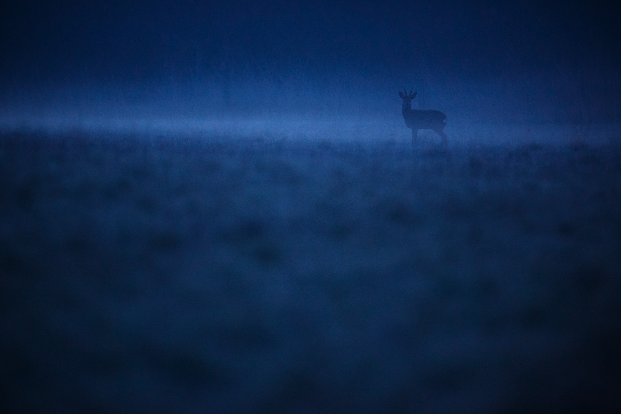 © Kevin Winterhoff