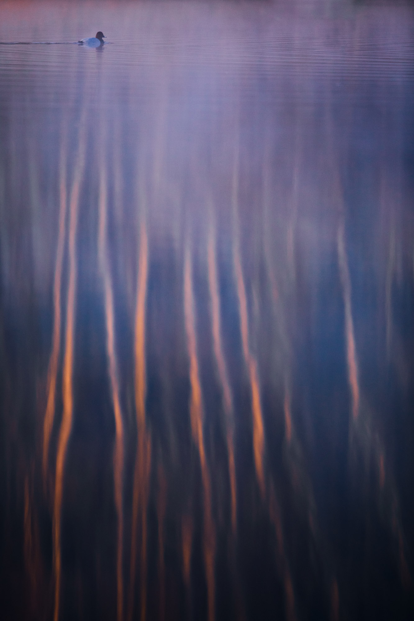 © Kevin Winterhoff