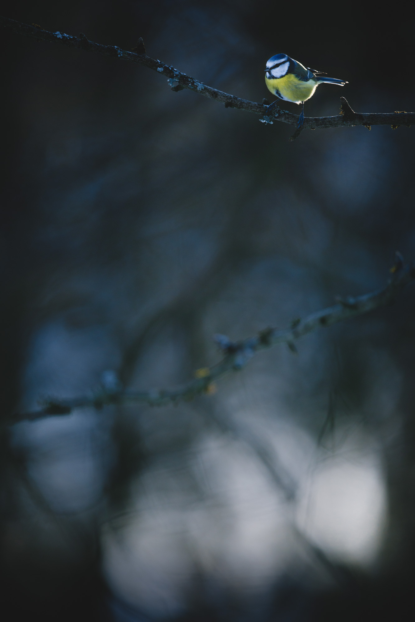 © Kevin Winterhoff