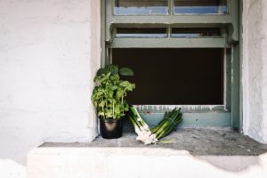 © Tobias Müller