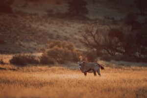 Afrika anders © Kevin Winterhoff
