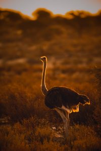 Afrika anders © Kevin Winterhoff