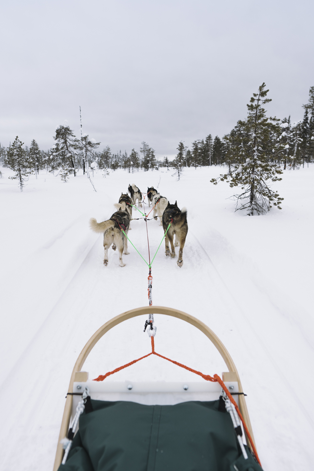 Lappland © Steven Weisbach
