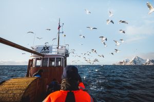 Ein Tag beim traditionellen Kabeljaufischen © Lukas Schlösser