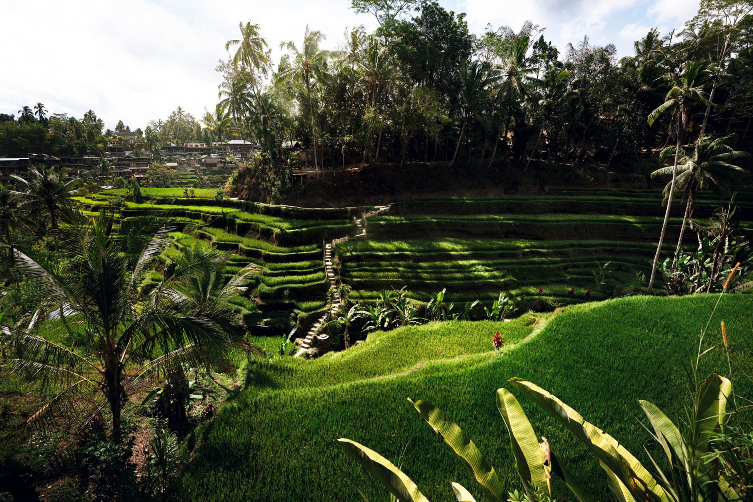 Bali im Weitwinkel © Dom Quichotte