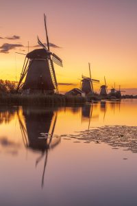 Naturfotografie in den Niederlanden mit SIGMA Objektiven © Robert Sommer