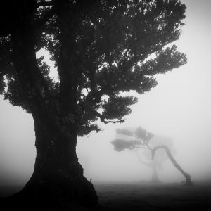 Mit der SIGMA fp auf Reisen © Christopher Schmidtke