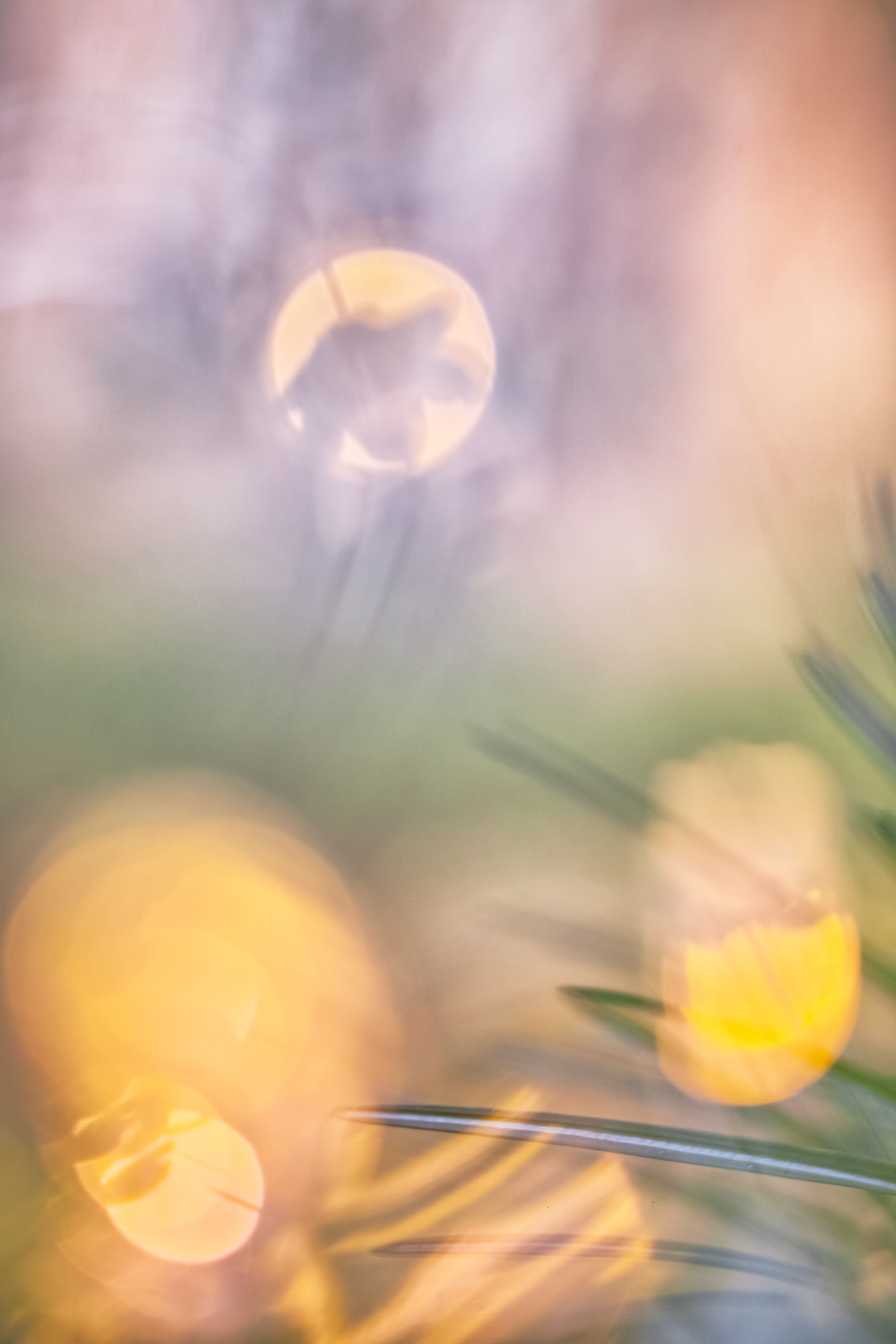 Stay Home… Geht raus zum Fotografieren! © Ines Mondon