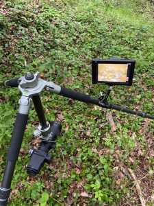 Makrofotografie mit der SIGMA fp und einem Feldmonitor © Mark Ford