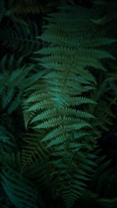 Teal & Orange mit der SIGMA fp © Christopher Schmidtke