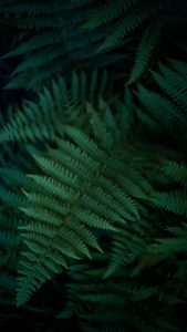 Teal & Orange mit der SIGMA fp © Christopher Schmidtke