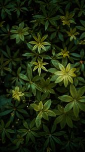 Teal & Orange mit der SIGMA fp © Christopher Schmidtke