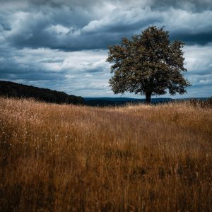 Teal & Orange mit der SIGMA fp © Christopher Schmidtke