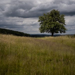 Teal & Orange mit der SIGMA fp © Christopher Schmidtke