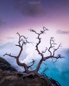 Im Gespräch mit Fabio Antenore - Ein Update © Fabio Antenore