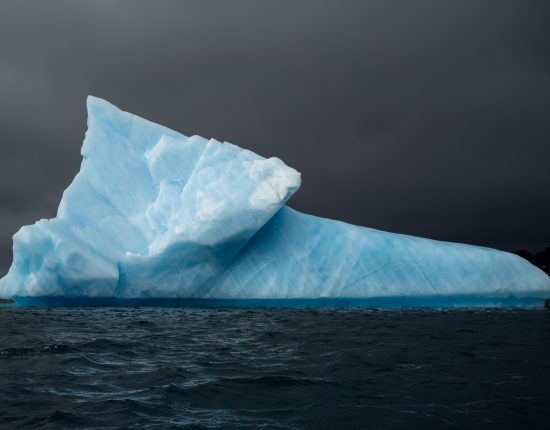 Die Antarktis bereisen mit der SIGMA fp © Hubert Neufeld
