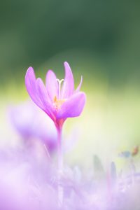 Willkommen im Herbst © Ines Mondon