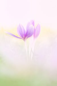 Willkommen im Herbst © Ines Mondon