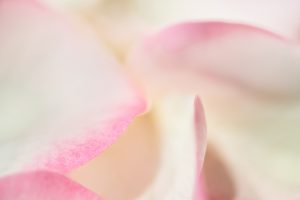 Willkommen im Herbst © Ines Mondon