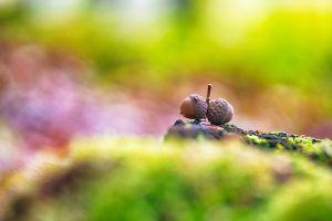 Willkommen im Herbst © Ines Mondon