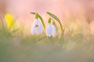 Osterspaziergang mit Ines Mondon © Ines Mondon