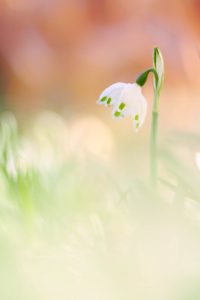 Osterspaziergang mit Ines Mondon © Ines Mondon